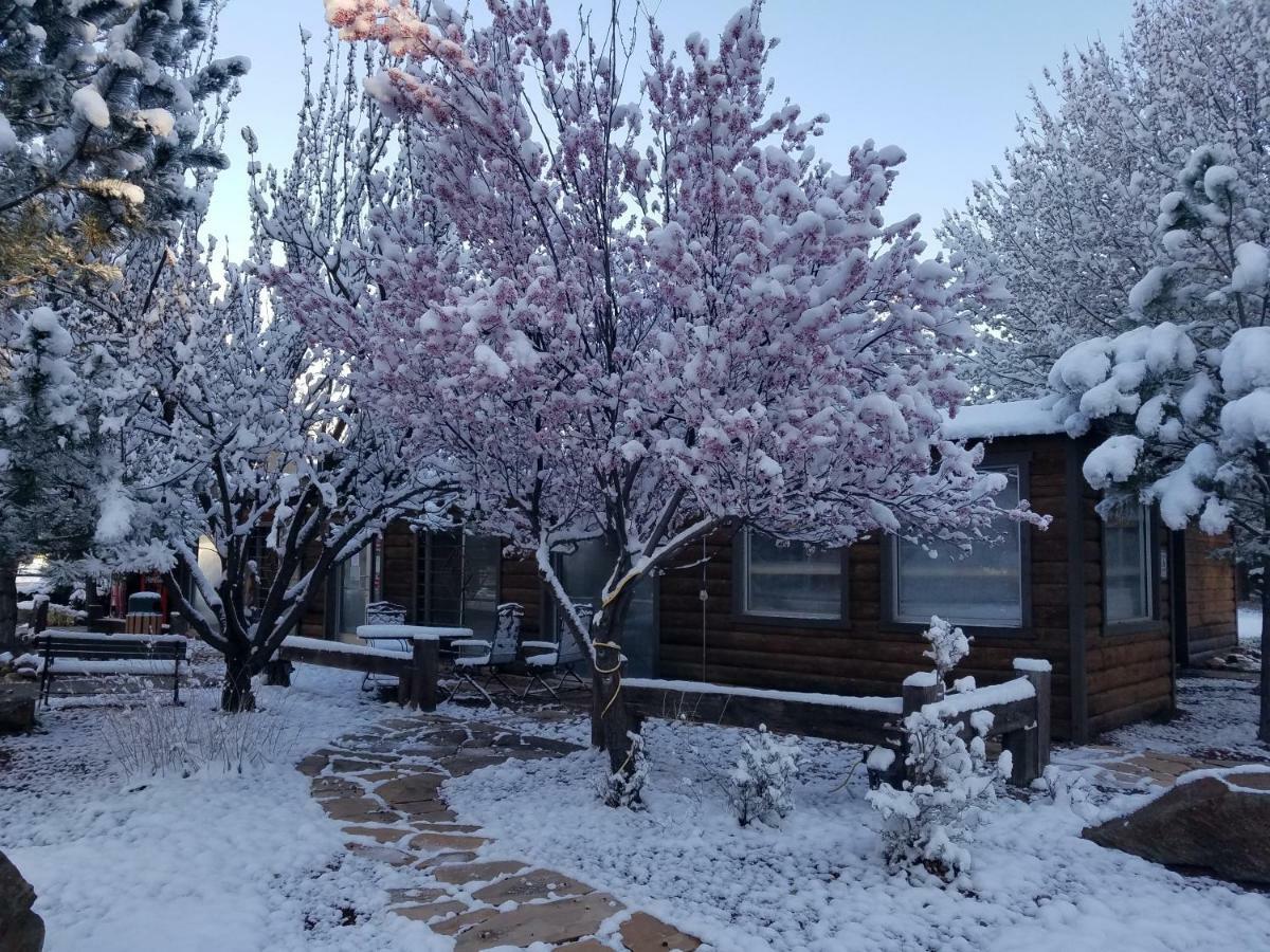 West Winds Lodge Ruidoso Eksteriør billede